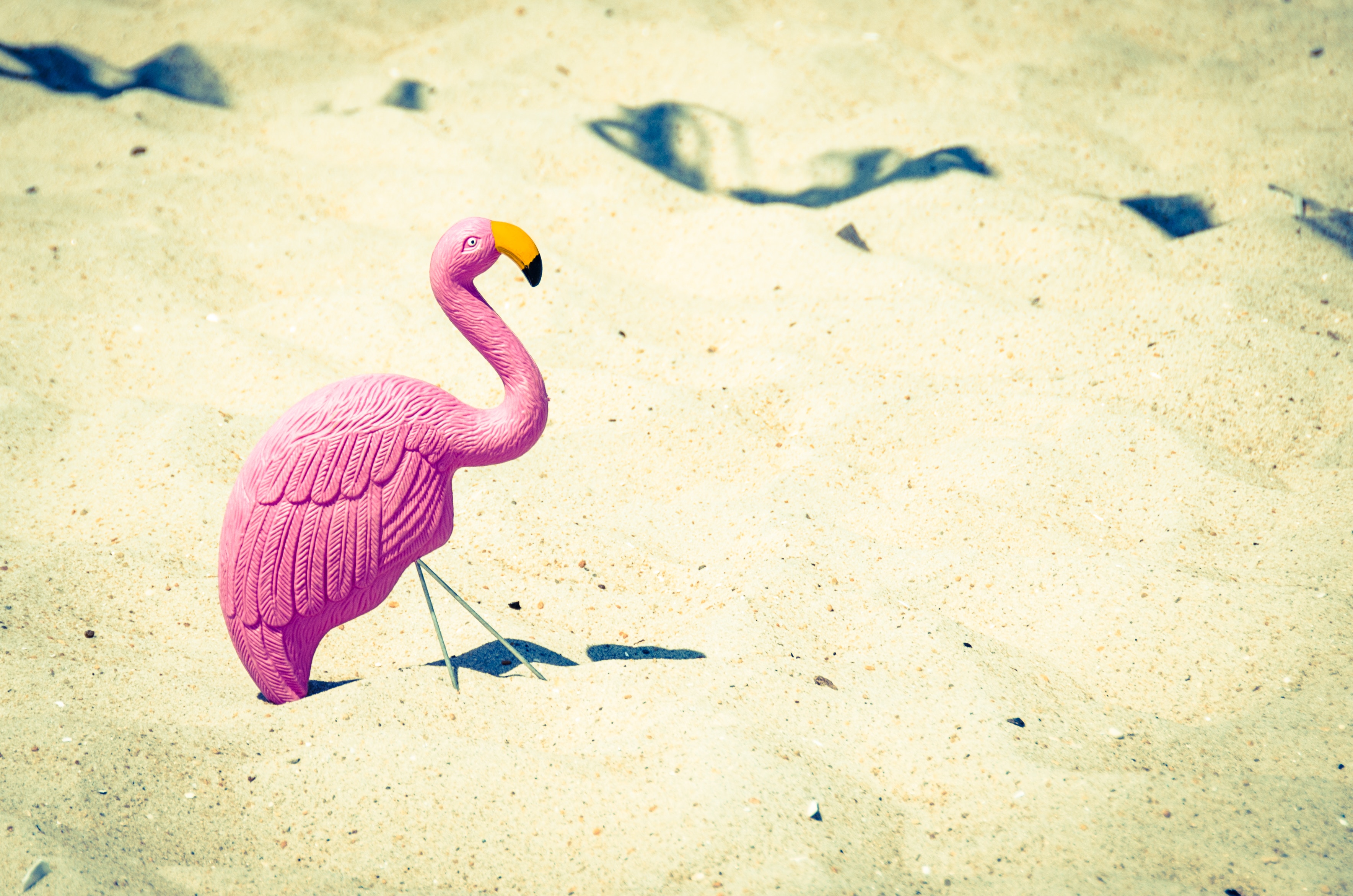 A lone flamingo ornament in the sand.